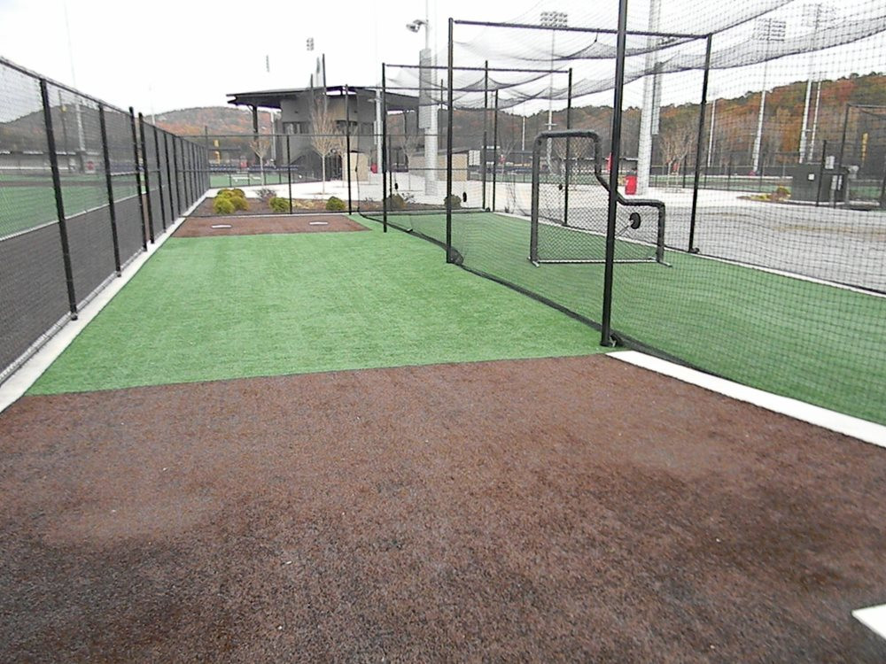 Vancouver artificial turf batting cage
